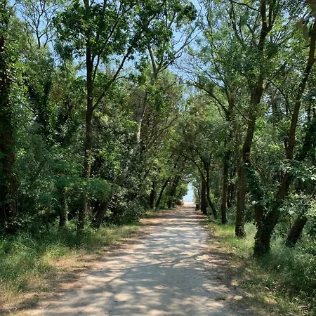 Locazione Turistica Mare Pineta-3
